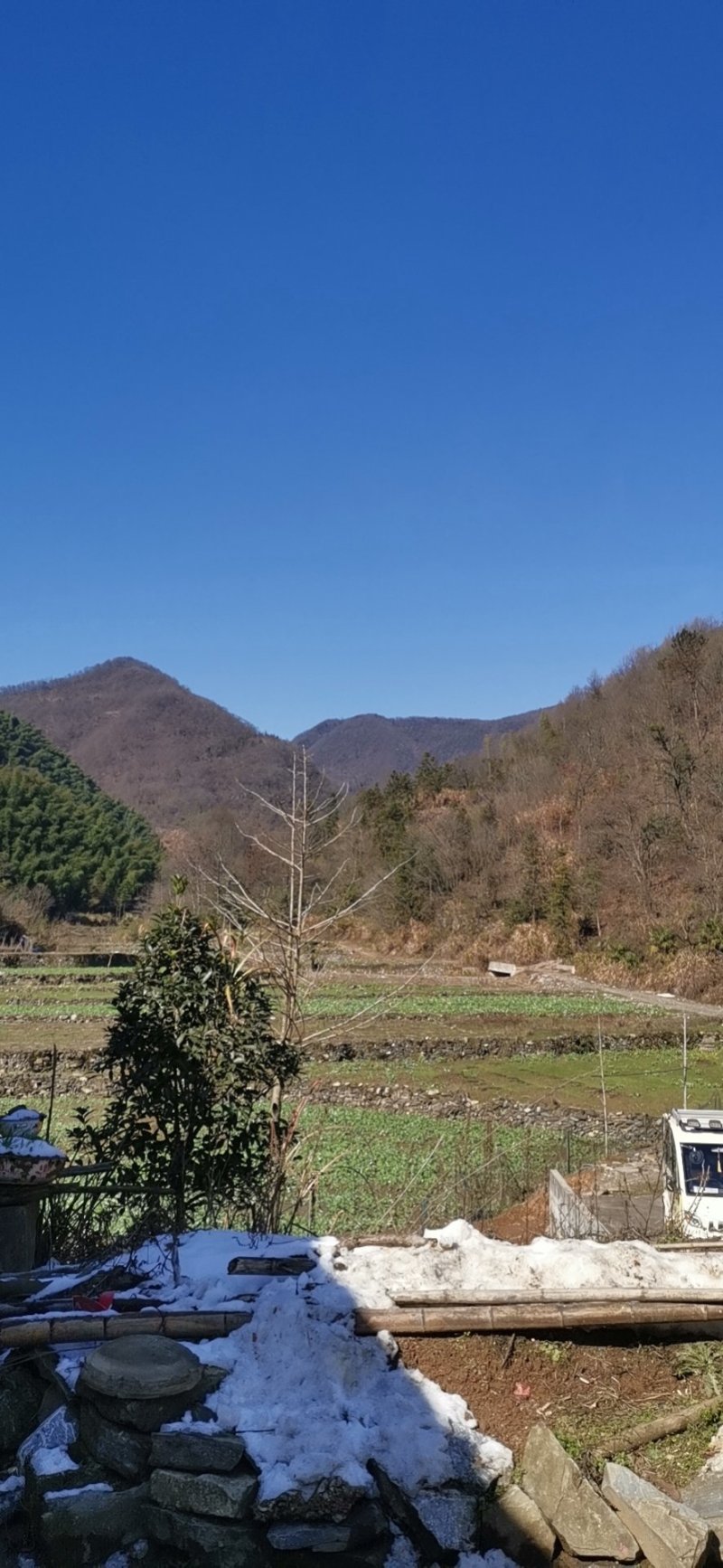 有林地林场出租