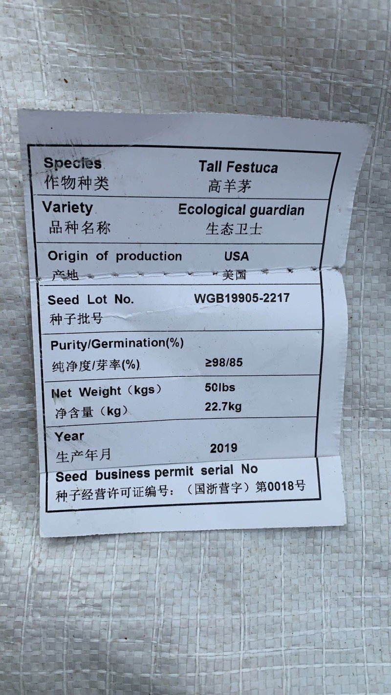 高羊茅草种，进口高羊茅，净籽90%以上