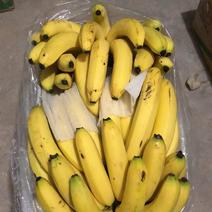 广西香蕉，15元一箱，果面干净，把型漂亮