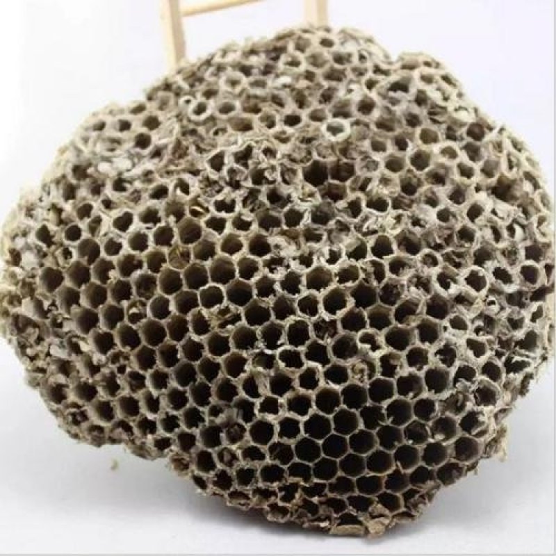 常年批发代购蜂房各种规格