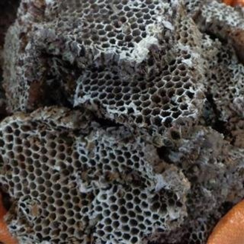 常年批发代购蜂房各种规格