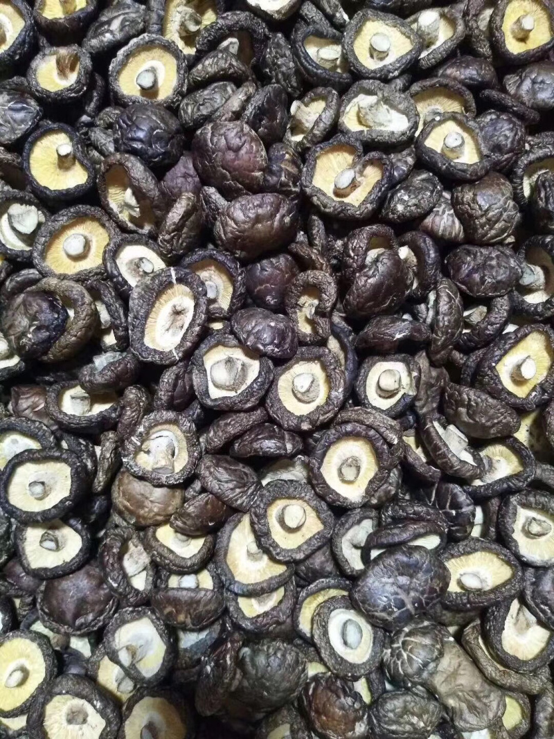 大金湖.尚书品.深山土特产.香菇