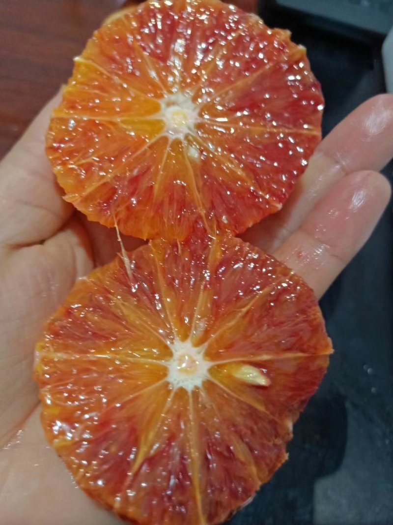塔罗科血橙枝条！大量出售