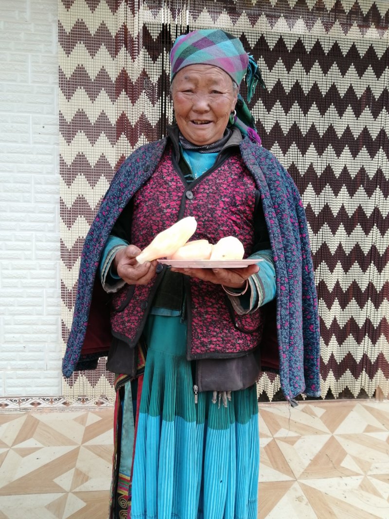 云南天山雪莲果苗带土发货包成活5斤包邮