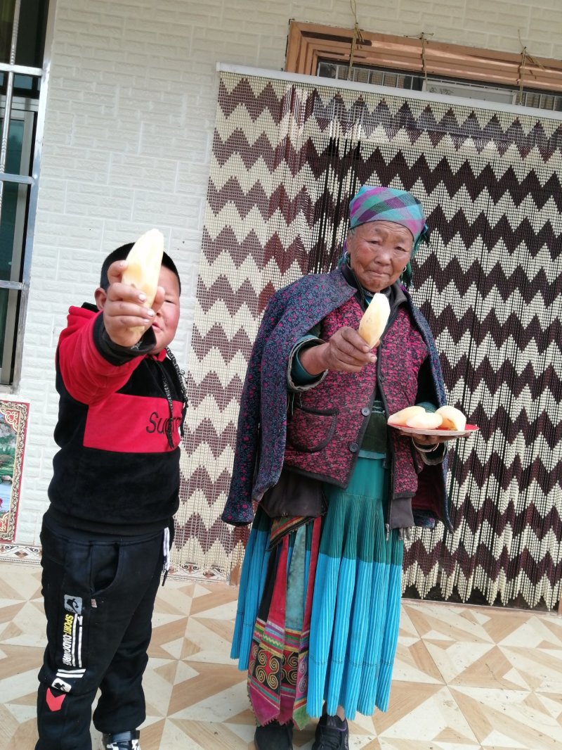 云南天山雪莲果苗带土发货包成活5斤包邮