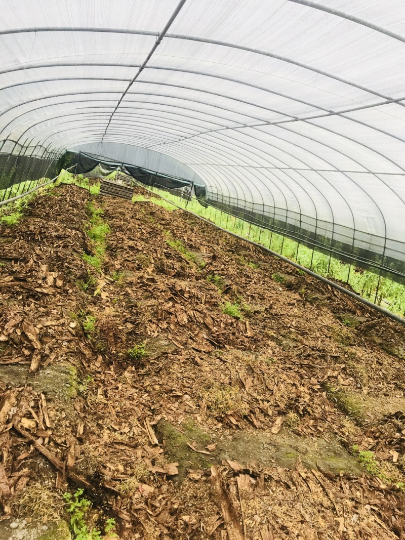 鱼塘田地转让