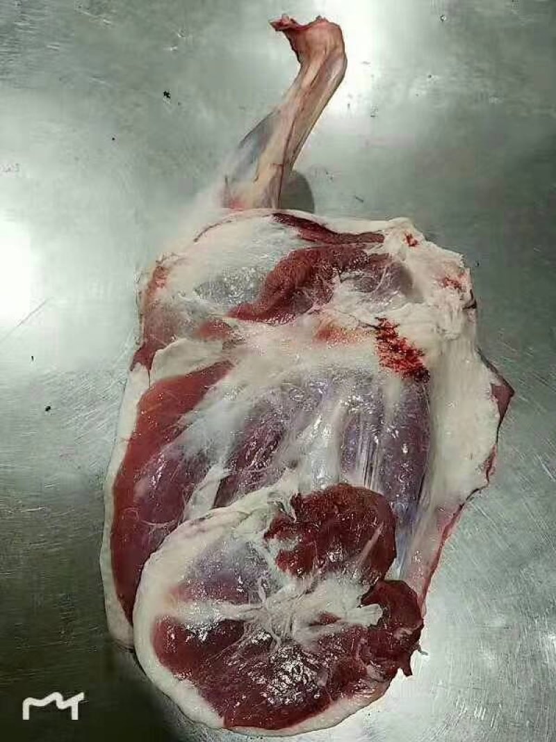 沙老头民勤羊肉