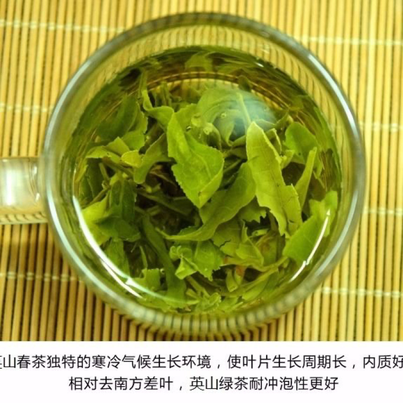 日照绿茶