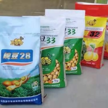 黄豆种