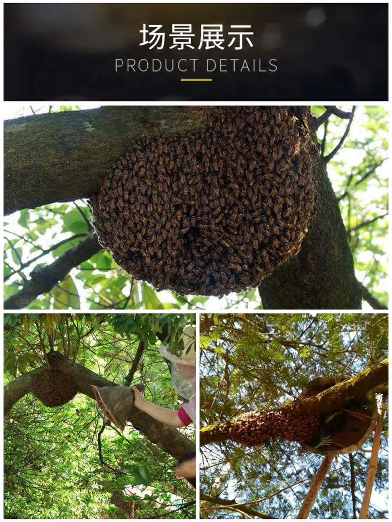蜜蜂收蜂笼便携布收蜂袋诱蜂捕蜂器土蜂野蜂专用收蜂笼