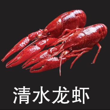 速冻清水龙虾