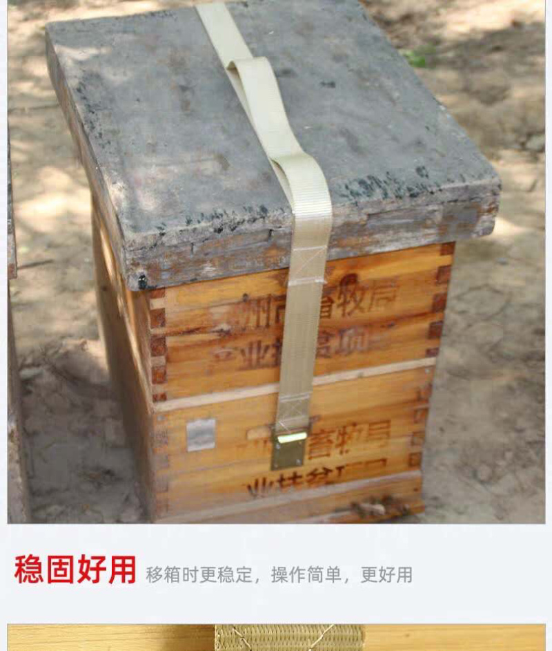 高低蜂箱通用带式连接器加厚捆绑器挑绳捆绑带专场地固定专用