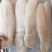 【进口精品】巴沙鱼柳一手货源价格实惠货源充足欢迎采购