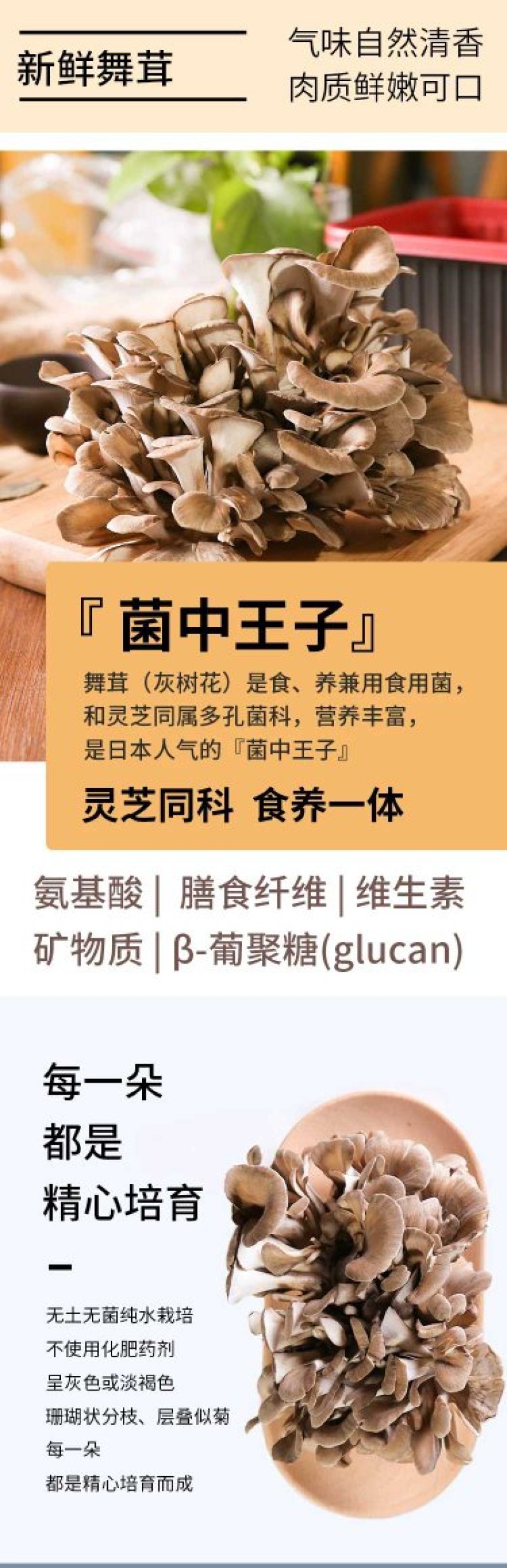 鲜货舞茸一盒生鲜舞茸栗蘑新鲜灰树花150g/盒