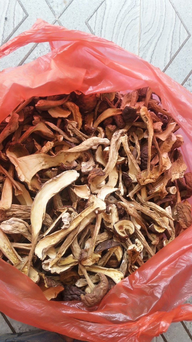 牛肝菌（美味），按菌的大小、菌伞的开放程度进行切片加工。