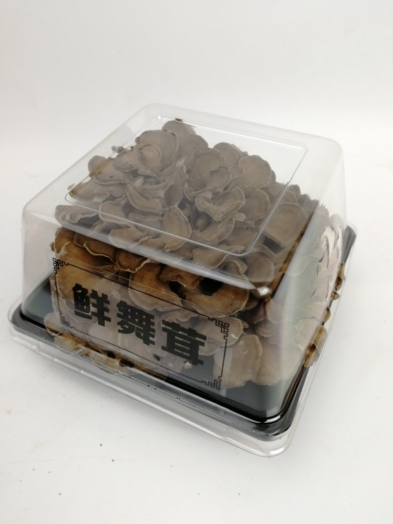 鲜货舞茸一盒生鲜舞茸栗蘑新鲜灰树花150g/盒