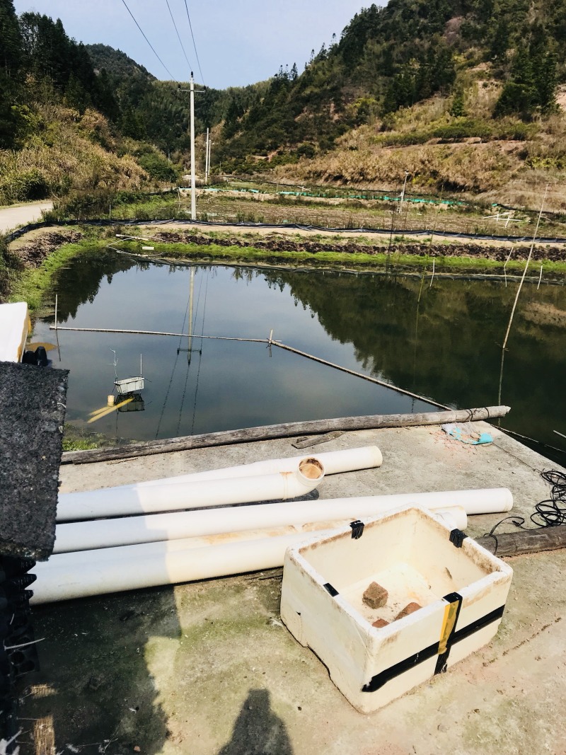 塘口田地出租转让