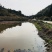 塘口田地出租转让