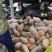 徐闻县基地精品市场超市蜜本小南瓜，全国代发，诚信经营