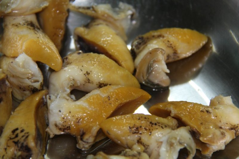 鲍螺（假鲍鱼），鲜活鲍螺，大连鲍螺，假鲍鱼