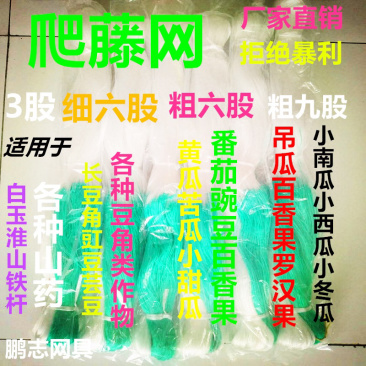 加粗六股黄瓜网丝瓜网苦瓜爬藤网粗六股攀爬网蔬菜大棚吊蔓网