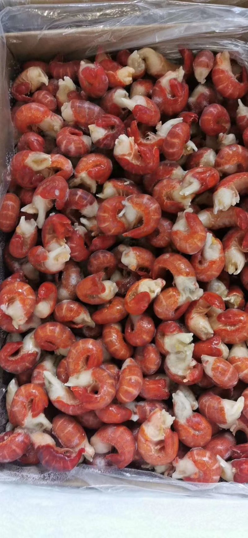 特级龙虾尾白菜价一手货源