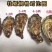 乳山生蚝，鲜活生蚝，山东生蚝，