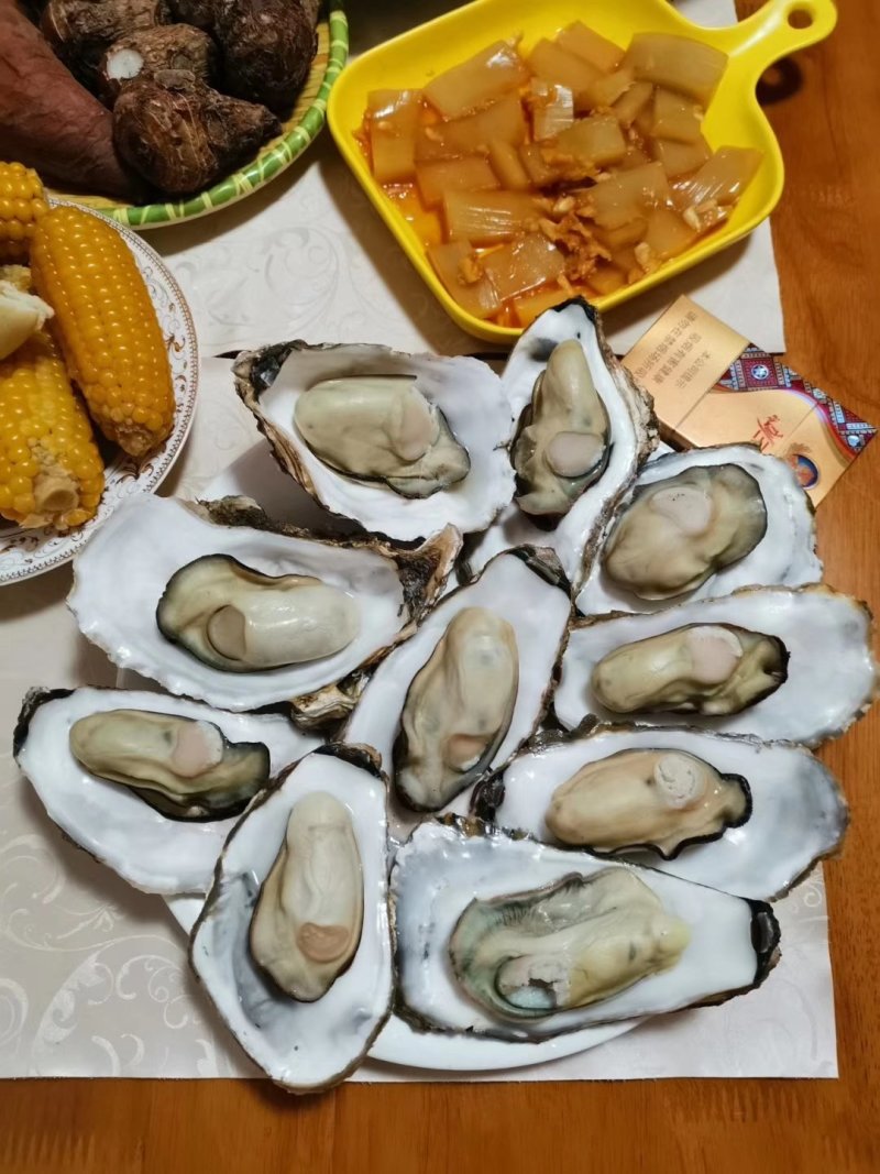 乳山生蚝，鲜活生蚝，山东生蚝，