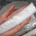 工厂直销灯照带鱼剪段400g一盒新鲜冷冻真空包装一件