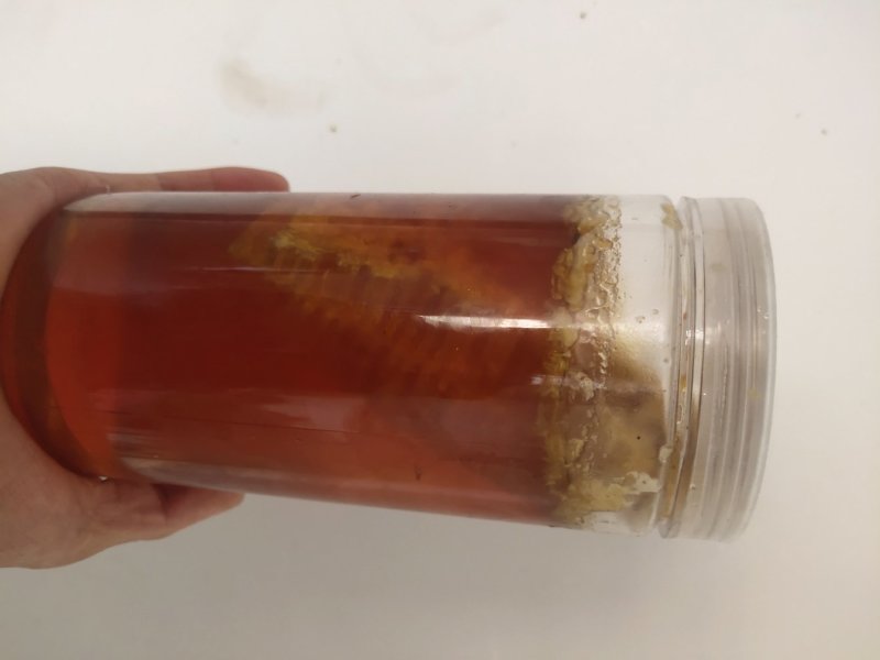 缅甸蜂蜜