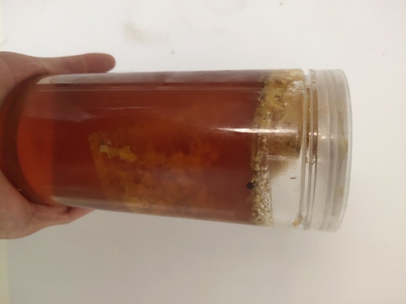缅甸蜂蜜