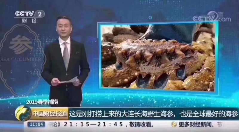 大连即食海参，即食海叁，大连海叁，即食辽参