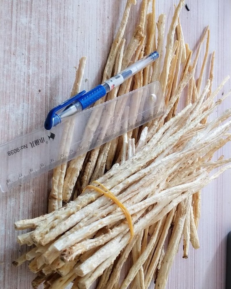 北沙参条，正宗无硫北沙参内蒙赤峰产，产地直销。