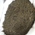 小花吴茱萸振兴药材批发供应吴茱萸保质保量常年供应诚信