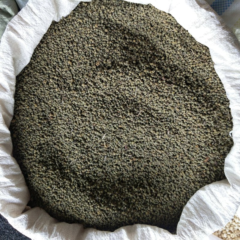 小花吴茱萸振兴药材批发供应吴茱萸保质保量常年供应诚信