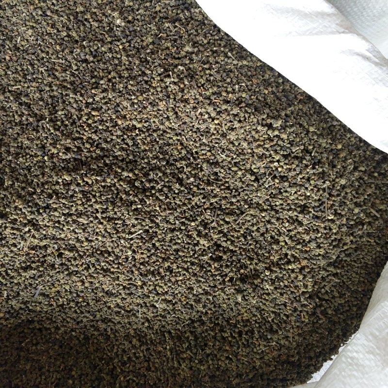 小花吴茱萸振兴药材批发供应吴茱萸保质保量常年供应诚信