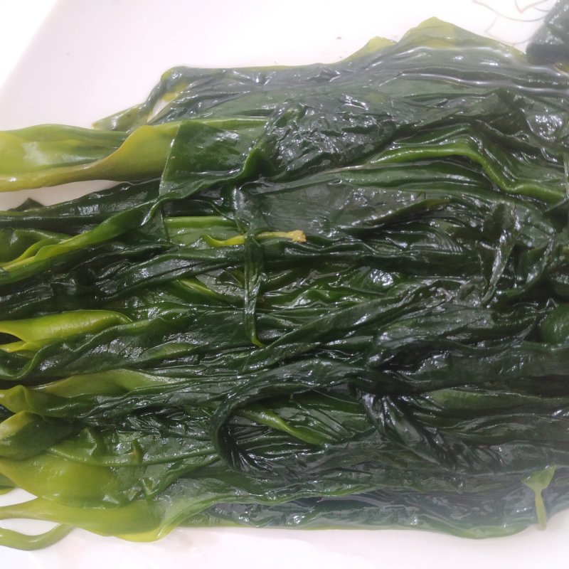 霞浦海带苗海带芽火锅食材凉拌菜海带嫩苗小海带