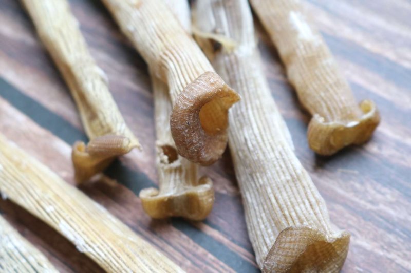 直销批发特级印尼原色沙虫干食用足干原生态没有沙香味浓