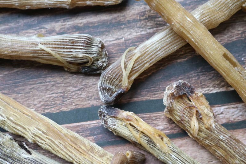 直销批发特级印尼原色沙虫干食用足干原生态没有沙香味浓