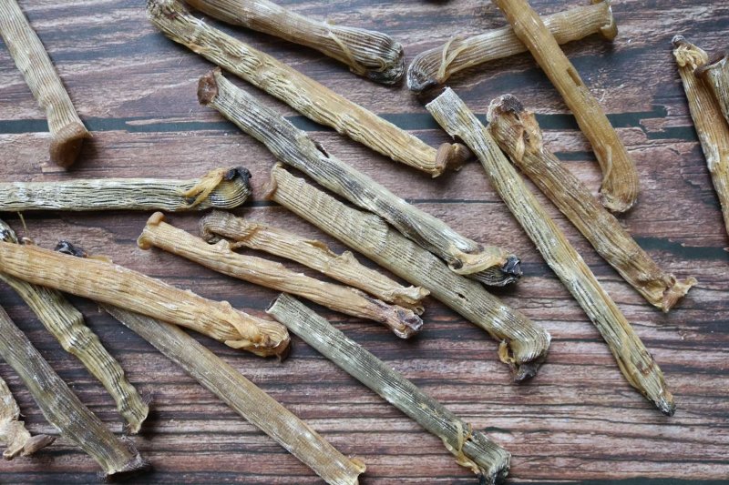直销批发特级印尼原色沙虫干食用足干原生态没有沙香味浓