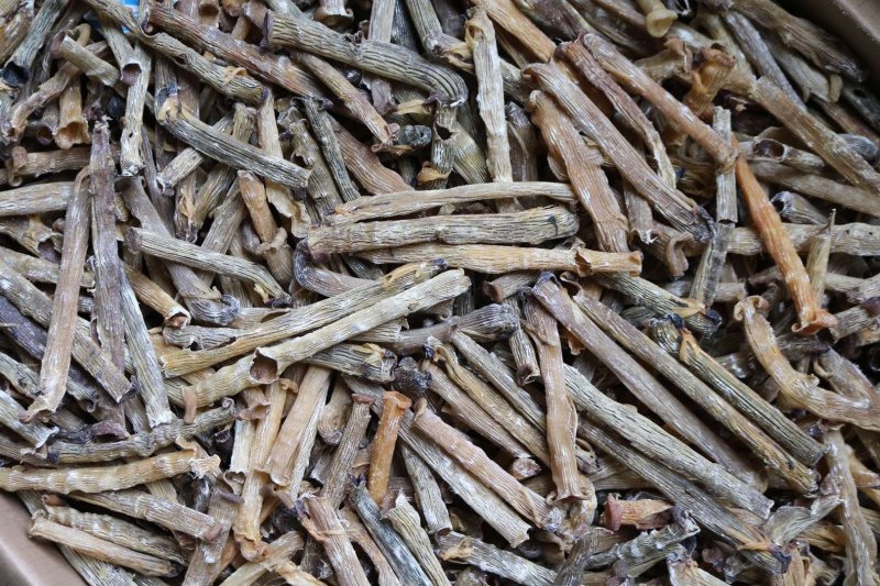 直销批发特级印尼原色沙虫干食用足干原生态没有沙香味浓