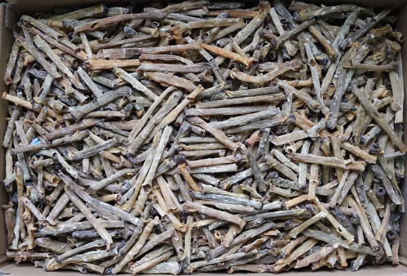 直销批发特级印尼原色沙虫干食用足干原生态没有沙香味浓