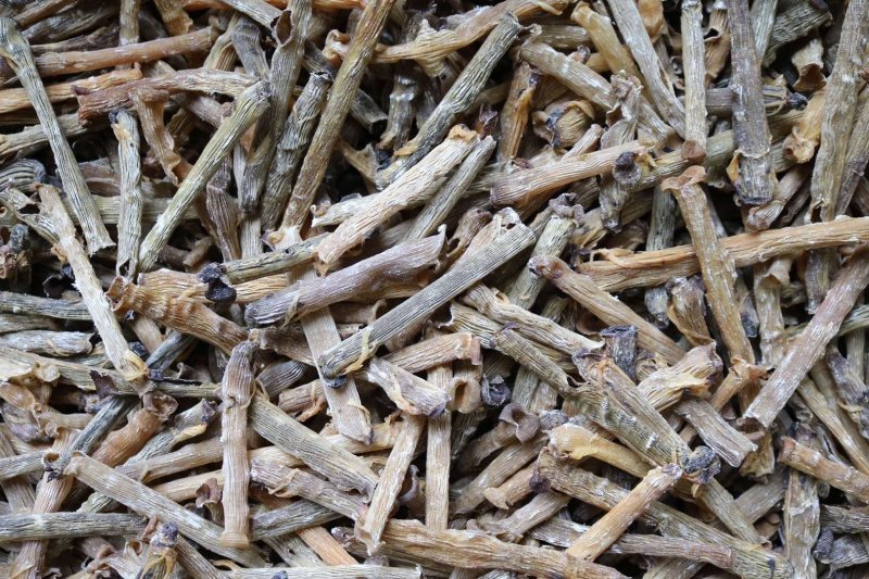 直销批发特级印尼原色沙虫干食用足干原生态没有沙香味浓