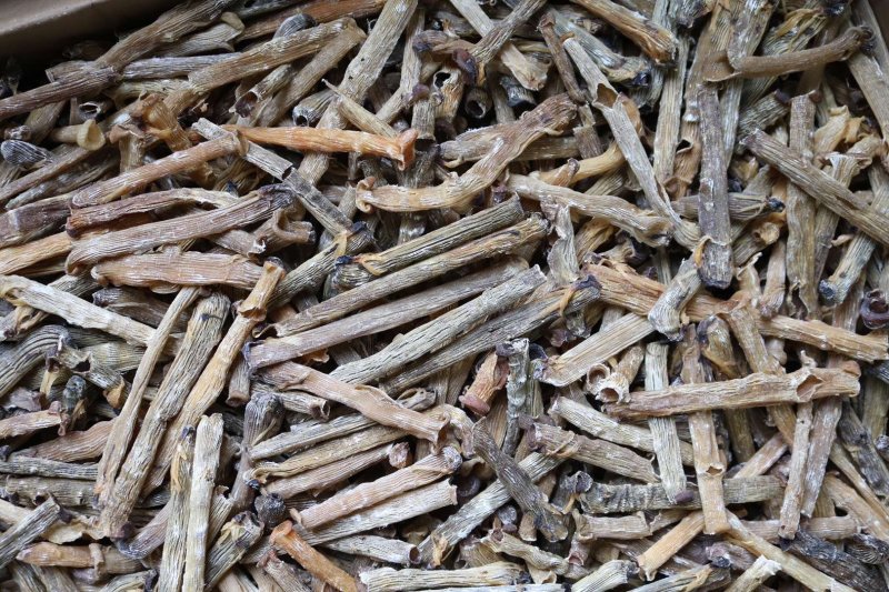 直销批发特级印尼原色沙虫干食用足干原生态没有沙香味浓