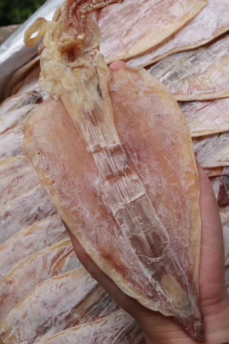 直销批发特级AAAA北海2号鱿鱼干15条特干