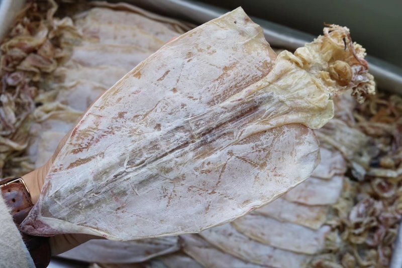 直销批发特级AAAA北海1号特大鱿鱼干10条规格