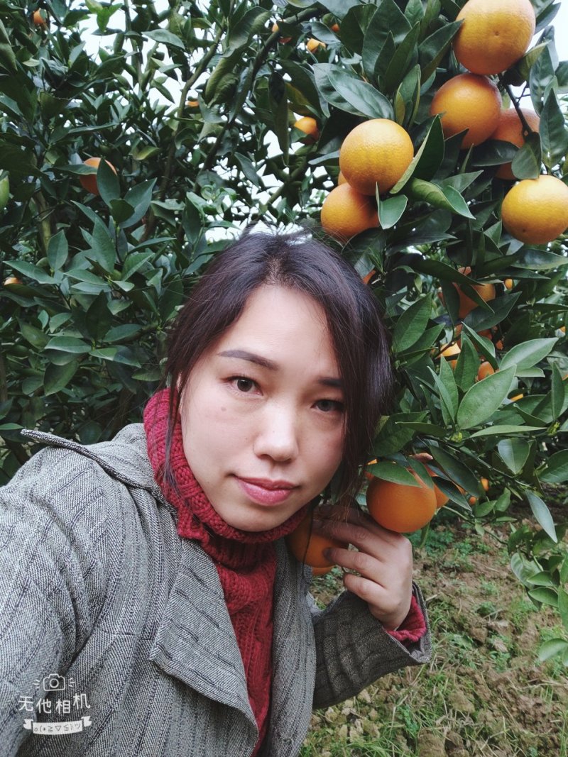 湖南郴州资兴东江湖夏橙批发(一件代发)