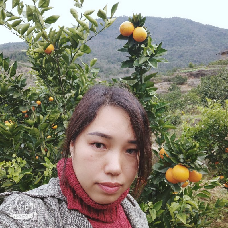 湖南郴州资兴东江湖夏橙批发(一件代发)