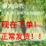 河北西芹法国皇后芹菜55cm以上茎杆脆嫩欢迎联系