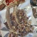 【参之源】炖汤料炖鸡料